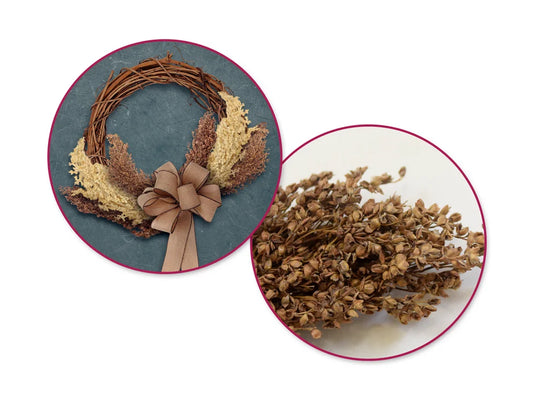 Craft Decor Dried Naturals: 40g Sorghum Grass B) Natural
