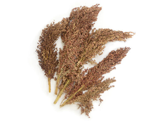 Craft Decor Dried Naturals: 40g Sorghum Grass B) Natural