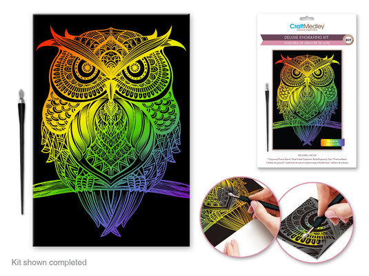 Craft Medley Kit: Deluxe Engraving Art DIY Kit A) Rainbow~ Owl