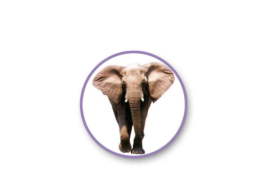 Paper Craft Sticker: 5"x12" Classic Themes 'Clear' Photo Safe A) Safari