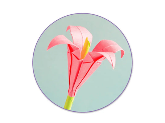 Paper Pad: 6"x6" Color Theme Stack Pad x30 (30 Designs) 100GSM C) Pink