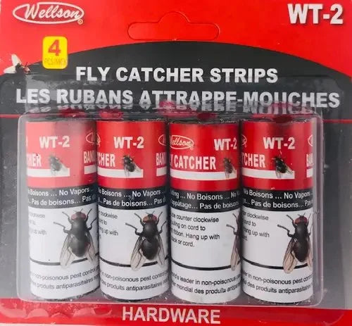 FLY CATCHER