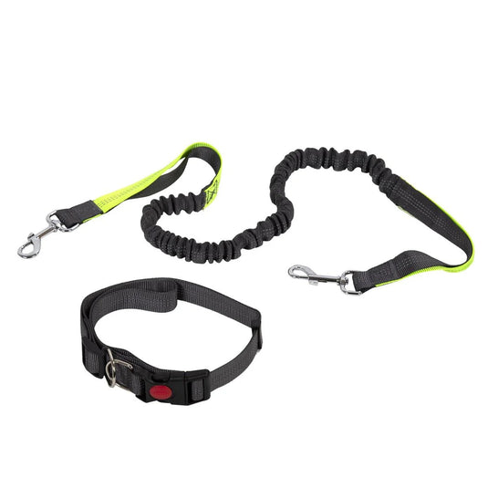 PAWS Hands free Dog Leash w/waist belt, tie-on-card