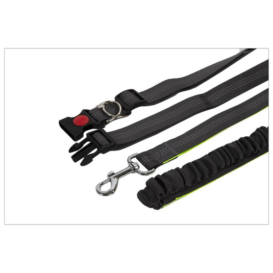 PAWS Hands free Dog Leash w/waist belt, tie-on-card