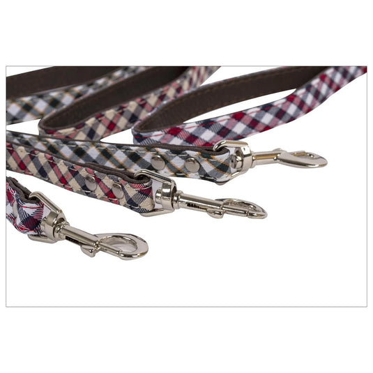 PAWS 3/5" X 47" Deluxe Dog Leash  TOC