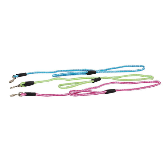 PAWS, 4' Dog Leash, t.o.c.