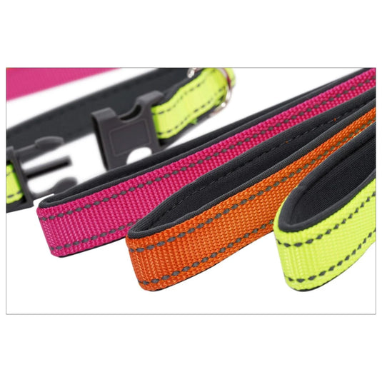 PAWS Reflective Collar& Leash Set 13"- 20", TOC w/J Hook(CS)