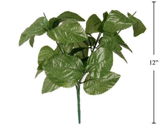 Greenery / Flower Leaves Greenery / Flower Leaves